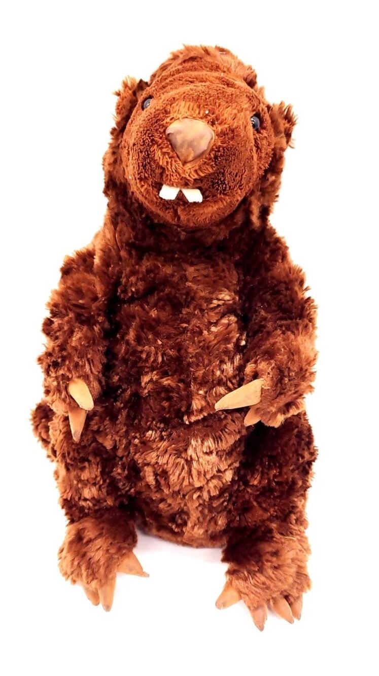 Gund Beaver Dark Brown Soft Plush Realistic Stuffed Animal Toy 44189 11"